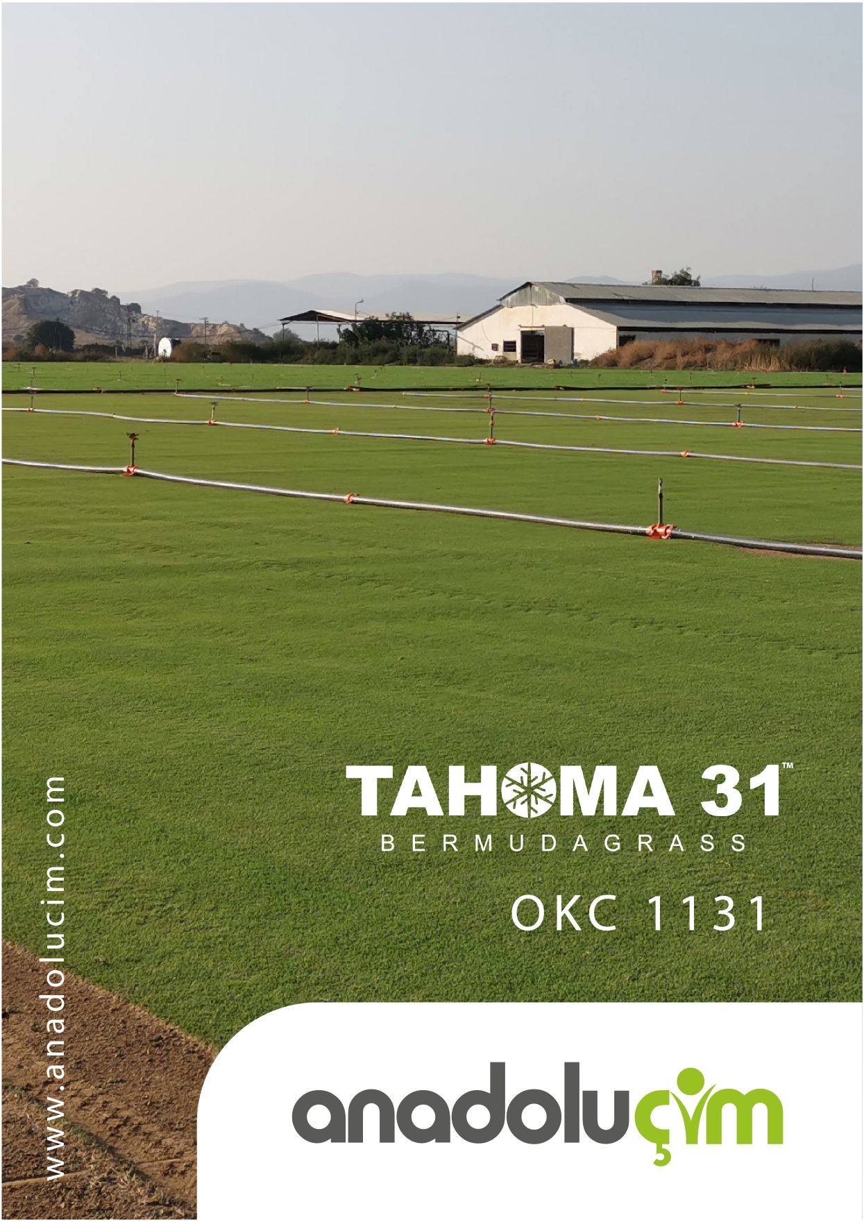 Tahoma 31 Katalog